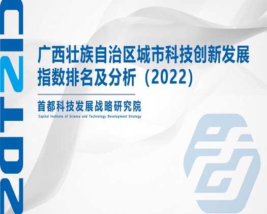 操老妣大片【成果发布】广西壮族自治区城市科技创新发展指数排名及分析（2022）